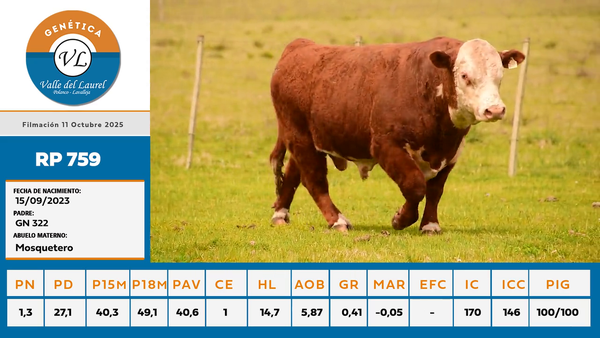 Lote 3 - Valle del Laurel