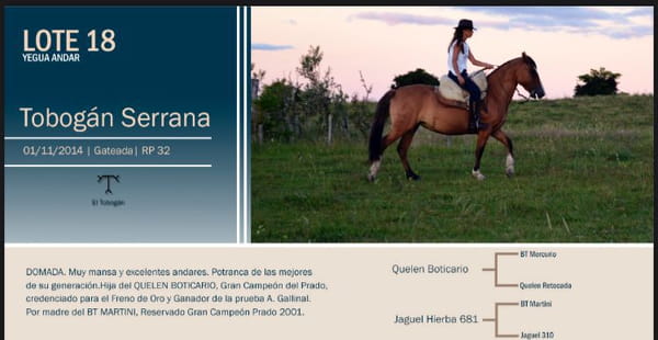 Lote Tobogán serrana