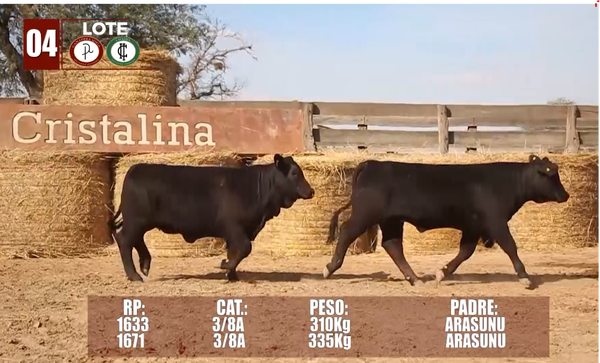 Lote Lote 4 Reserva de Cabaña