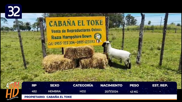 Lote LOTE 32