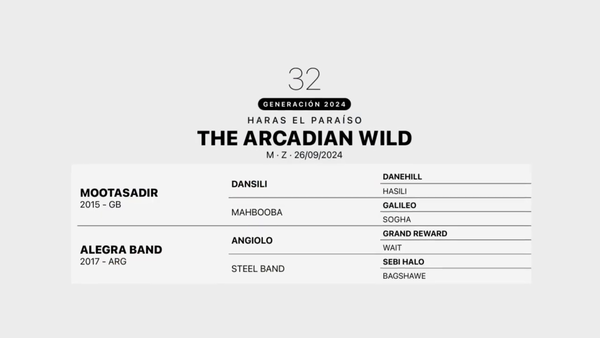 Lote THE ARCADIAN WILD