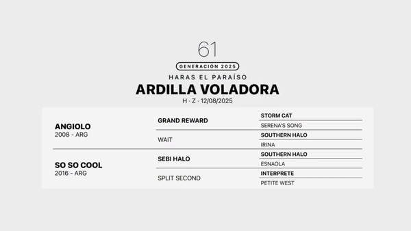 Lote ARDILLA VOLADORA