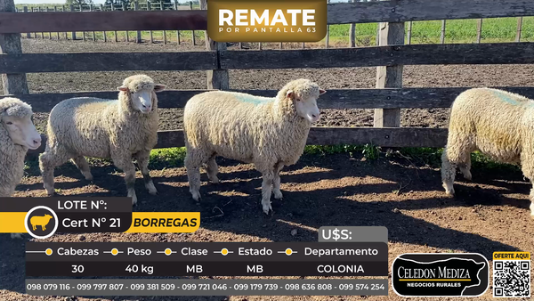 Lote 30 Borregas en Víboras, a 15 km de Carmelo, Colonia
