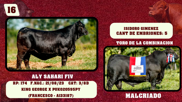 Lote LOTE 16