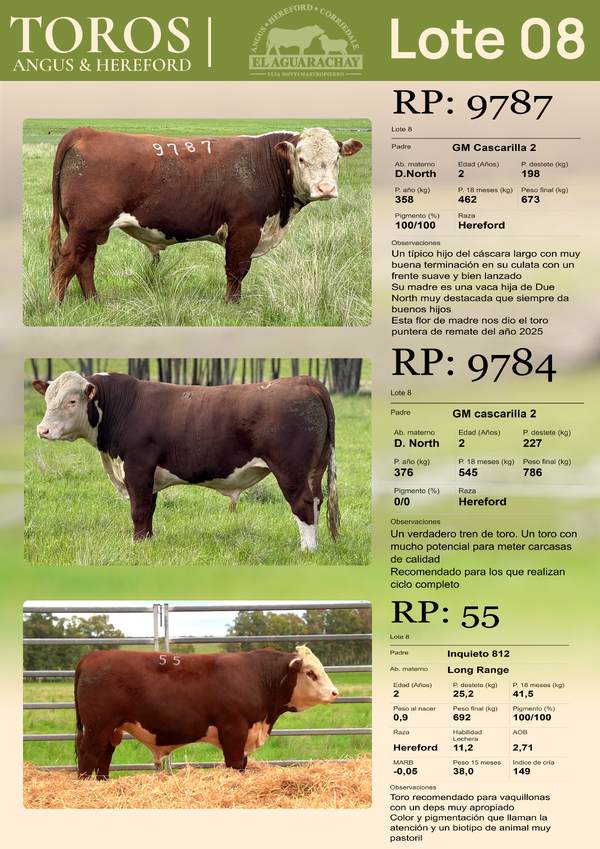 Lote LOTE 08