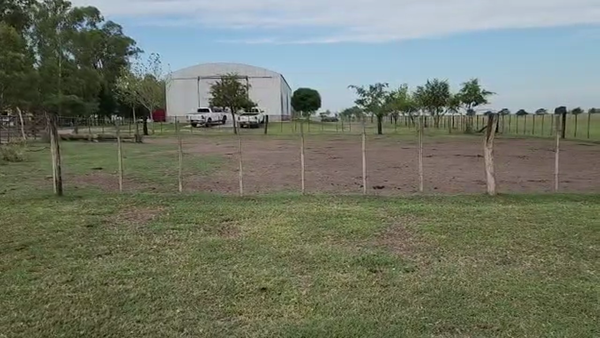 Lote 35 Vaquillonas en Bolívar, Buenos Aires