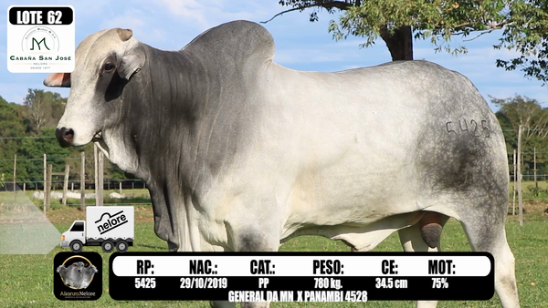 Lote LOTE 62 - RP 5425