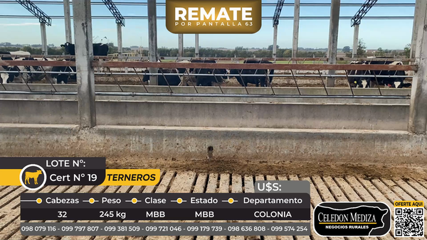 Lote 32 Terneros en Estanzuela, Colonia