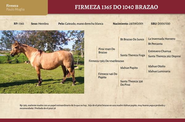 Lote Firmeza 1365 (RP 1365) - Cabaña Firmeza