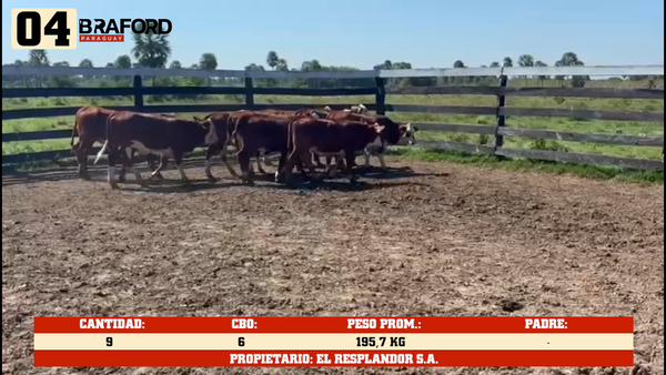 Lote LOTE 4