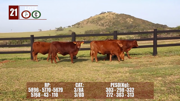 Lote Lote 21 Reserva de Cabaña
