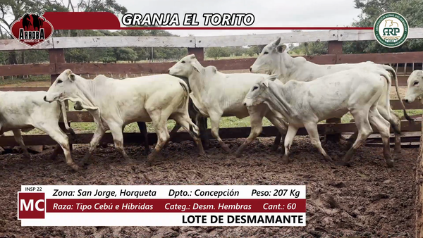 Lote GRANJA EL TORITO