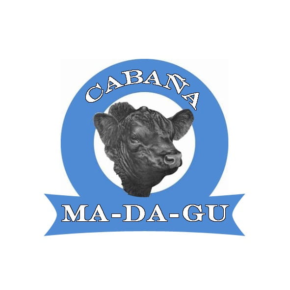 Lote TOROS PUROS CONTROLADOS ANGUS