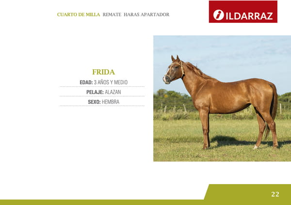Lote FRIDA