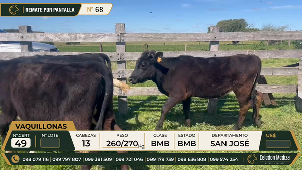 Lote 13 TERNERAS en Colonia