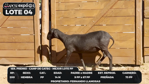 Lote LOTE 4 - CAMPO
