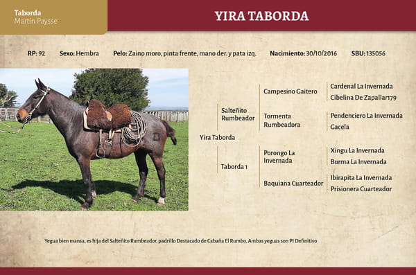 Lote Yira Taborda (RP 92) - Cabaña Taborda