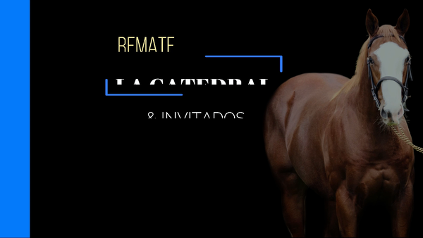 Lote CURIOSA EDITION (EQUAL EDITION - CURSI GULCH)