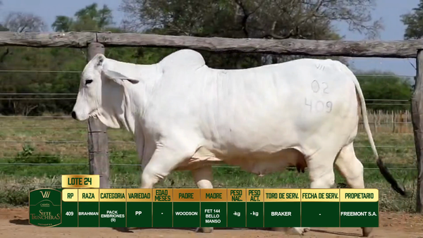 Lote LOTE 24