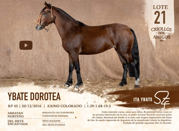 Lote YBATE DOROTEA RP 45
