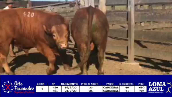 Lote LOTE 1 LOMA AZUL