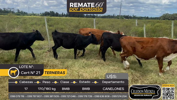 Lote 17 Terneras en Atlántida, Canelones
