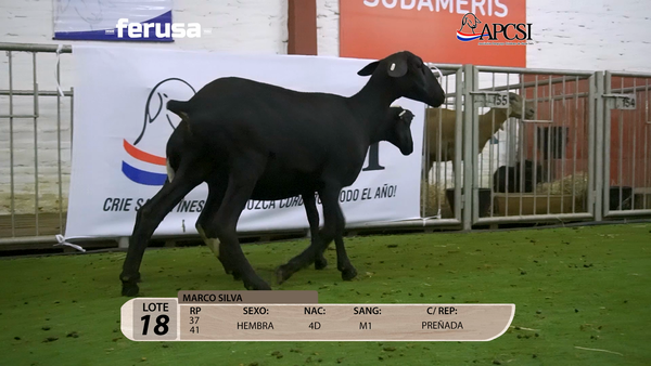 Lote Nacional Santa Inés Campo - Lote 18