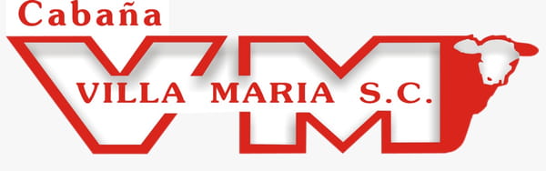 Lote Vaq P.Hereford PR Preñadas y Paridas