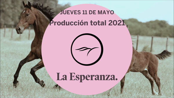 Lote ESTRICTAMENTE (SEEK AGAIN - ENMENDADORA)