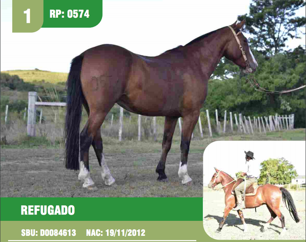 Lote RP0574