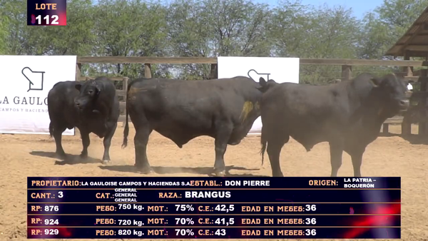 Lote LA GAULOISE CAMPOS Y HACIENDAS SA - LOTE 112