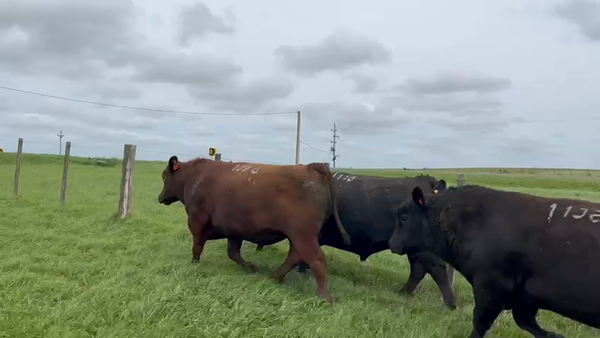 Lote Los Verdes Valles