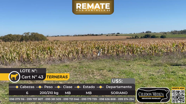 Lote 6 Terneras Puntas de Arenales, a 9 km de Agraciada,Soriano