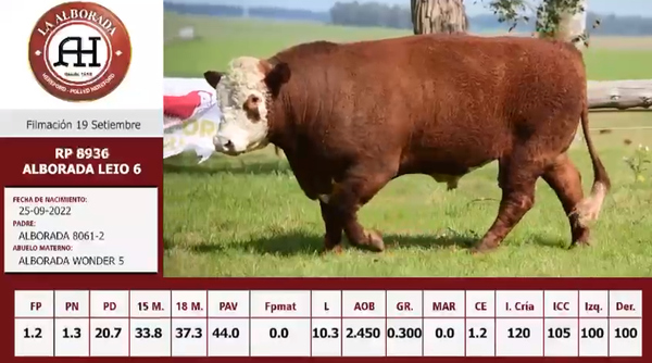 Lote 6 Toros PI / PO / PC, Cerro Largo