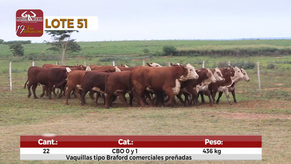 Lote Reproductores de Alborada - Lote 51