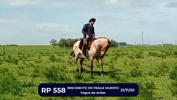 Lote RINCONCITO DE FRAILE MUERTO