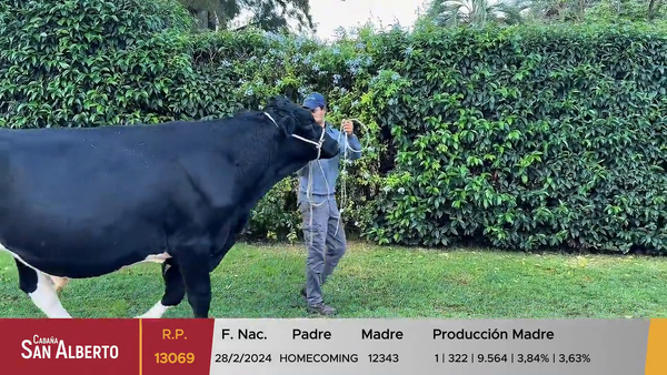 Lote Toros, Canelones