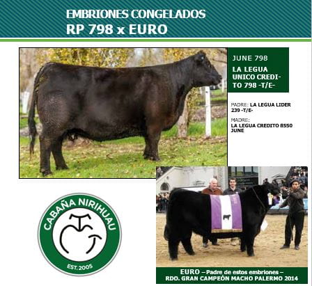 Lote EMBRIONES 798 X EURO