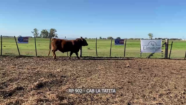 Lote RP  902 LA TATITA