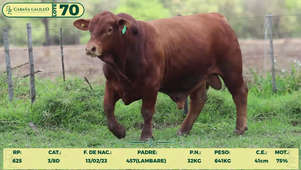Lote LOTE 70