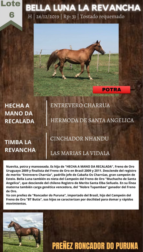 Lote BELLA LUNA LA REVANCHA