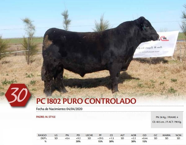 Lote TORO