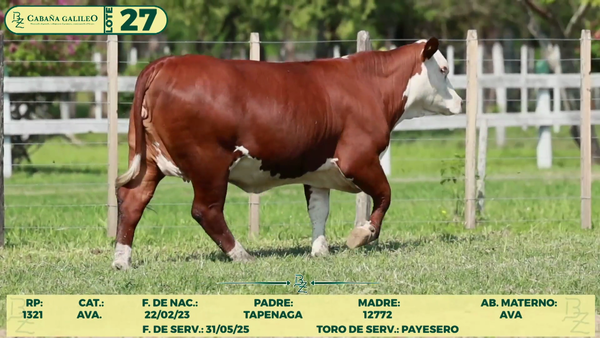 Lote LOTE 27