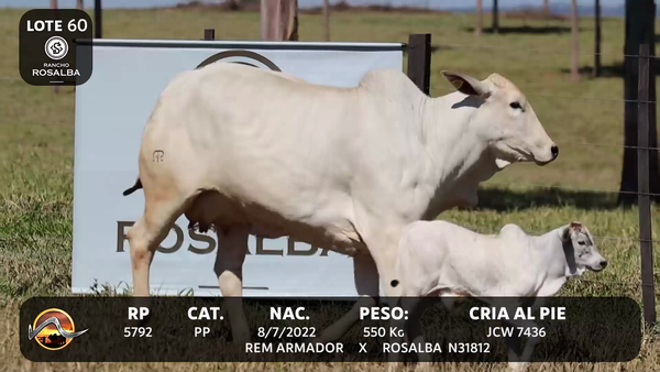 Lote LOTE 60