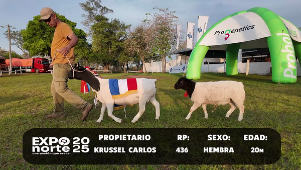Lote RP 436,