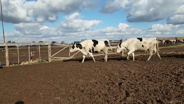 Lote Agrop. Don Bartolome