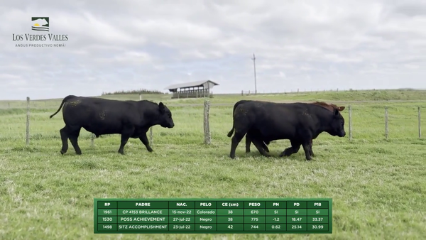 Lote Lote 1 - Los Verdes Valles