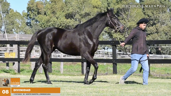 Lote DIVINIDAD