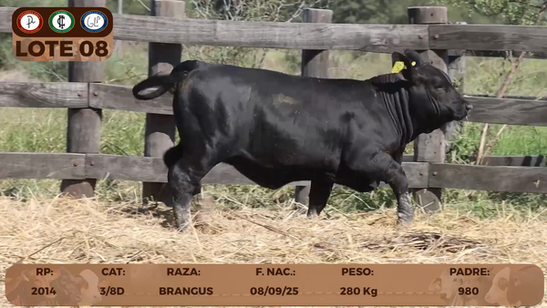 Lote LOTE 8- RESERVA DE CABAÑA