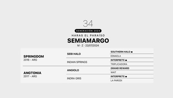 Lote SEMIAMARGO